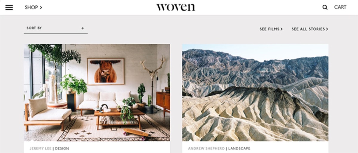 High quality professional website design example