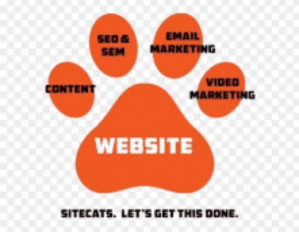 SEO architecture in custom vs template websites