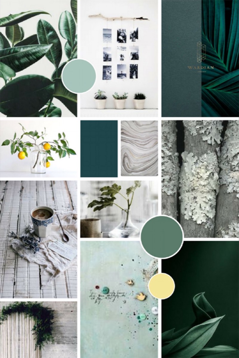 Mood board collage of design inspiration