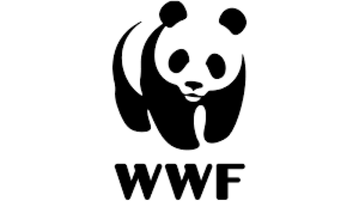 WWF's black logo for authority and environmental urgency